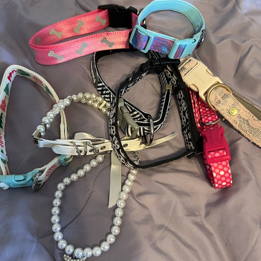 Assorted Dog Collars with Various Designs - Picture 5 of 5